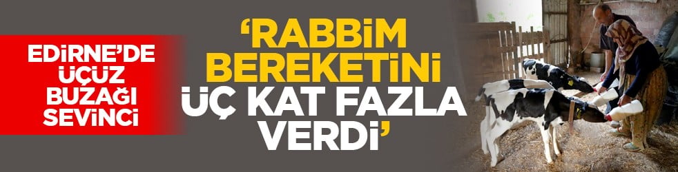 Edirne’de üçüz buzağı sevinci: ‘Rabbim bereketini üç kat fazla verdi’