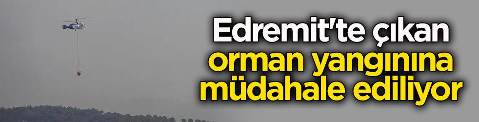 Edremit'te orman yangını! Ekipler müdahale ediyor