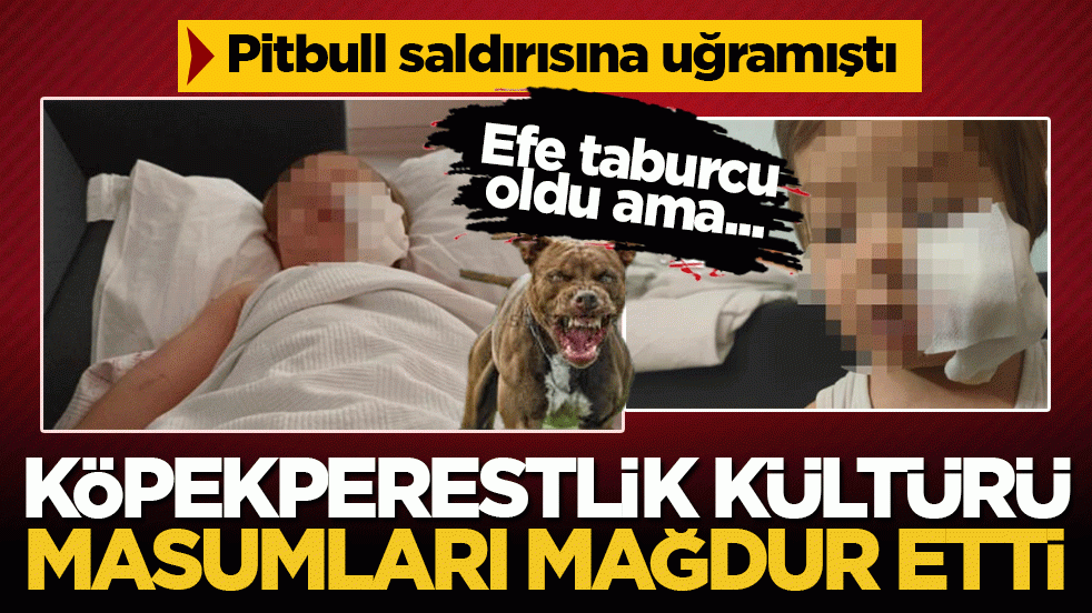 Efe Öztürk, pitbull saldırısından taburcu oldu: Yüzündeki yaralar kalıcı olacak