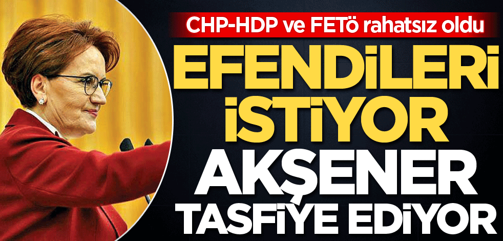 Efendileri istiyor Akşener tasfiye ediyor