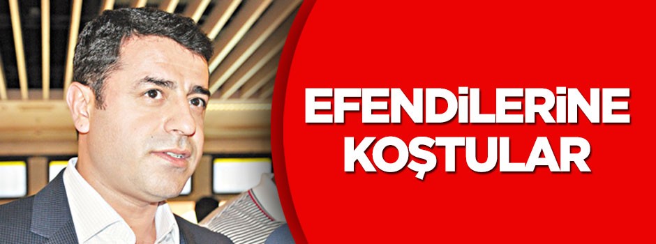 Efendilerine koştular!