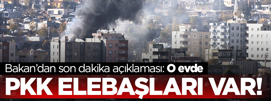 Efkan Ala: Cizre’nin yüzde 99’u temizlendi