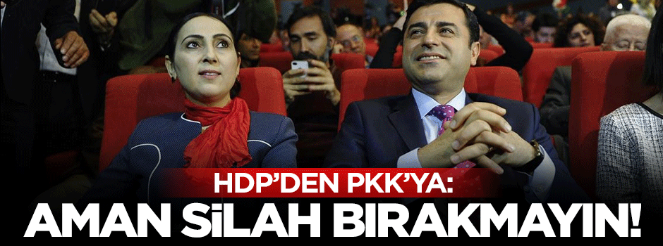 Efkan Ala: HDP, 'Aman silah bırakmayın' diyor
