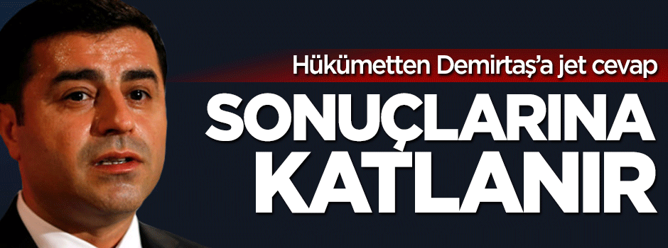 Efkan Ala: Selahattin Demirtaş sonuçlarına katlanır