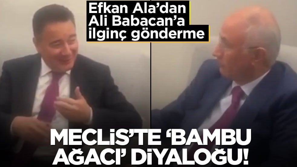 Efkan Ala’dan Ali Babacan’a ilginç gönderme! Meclis’te ‘Bambu ağacı’ diyaloğu!
