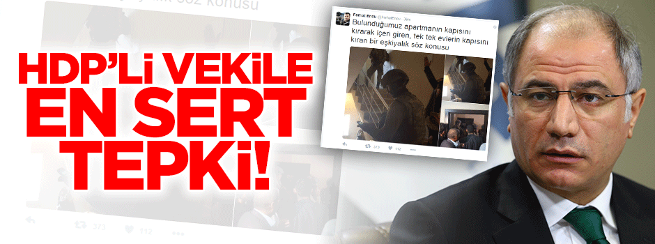 Efkan Ala'dan HDP'li vekile sert tepki