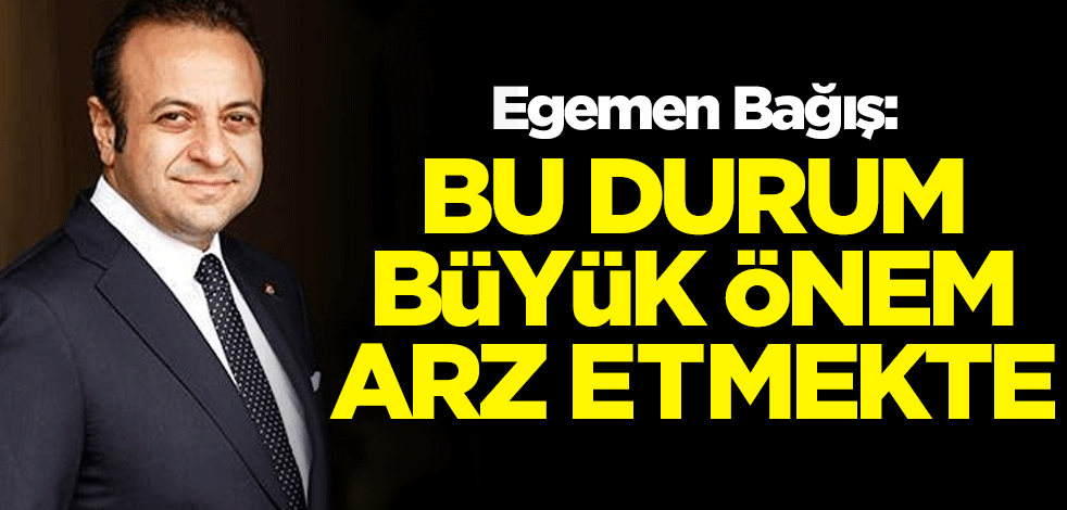Egemen Bağış'tan sosyal medyadaki milli hesaplara destek: Büyük önem arz etmekte