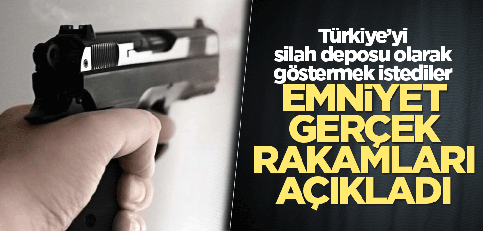 EGM ruhsatlı silah sayısını açıkladı