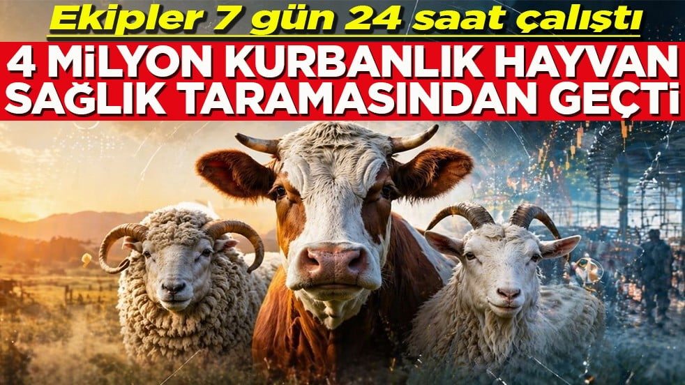 Ekipler 7 gün 24 saat çalıştı 4 milyon kurbanlık sağlık taramasından geçti