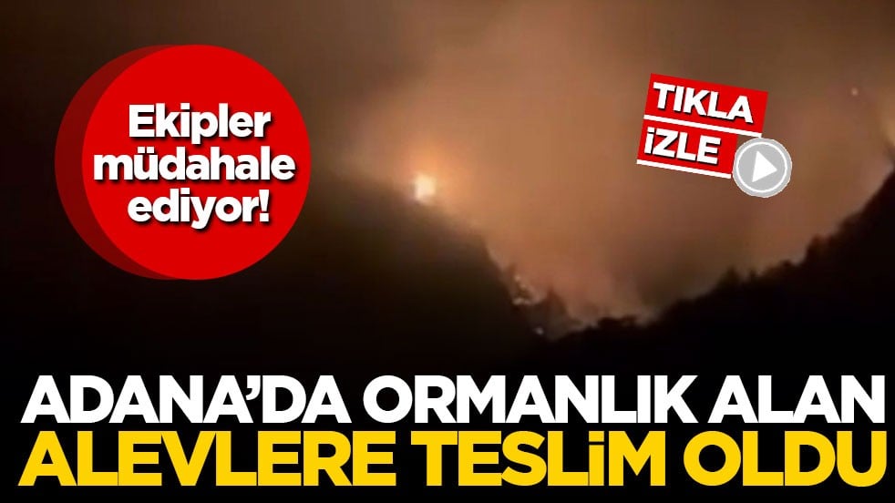 Ekipler müdahale ediyor! Adana’da ormanlık alan alevlere teslim oldu
