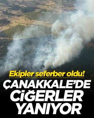 Ekipler seferber oldu! Çanakkale'de ciğerler yanıyor