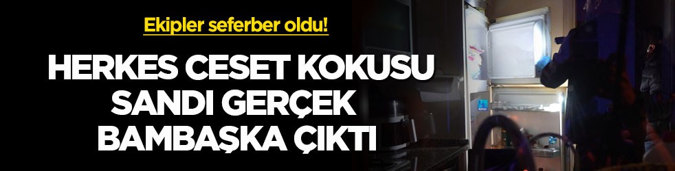 Ekipler seferber oldu! Herkes ceset kokusu sandı gerçek bambaşka çıktı