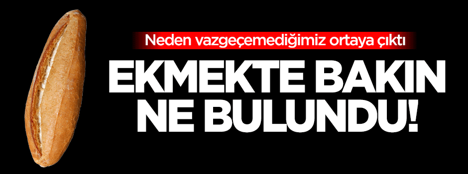 Ekmeği niye sevdiğimiz ortaya çıktı