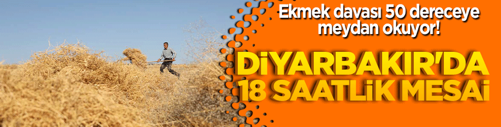 Ekmek davası 50 dereceye meydan okuyor! Diyarbakır'da 18 saatlik mesai