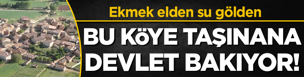 Ekmek elden su gölden: Bu köye taşınana devlet bakıyor!