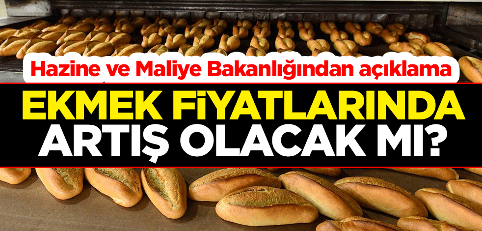 Ekmek fiyatlarında artış olacak mı? Hazine ve Maliye Bakan Yardımcısı Mahmut Gürcan'dan açıklama