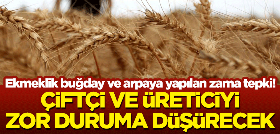 Ekmeklik buğday ve arpaya yapılan zama tepki! "Çiftçi ve üreticiyi zor duruma düşürecek"