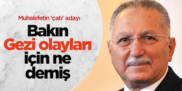 Ekmeleddin İhsanoğlu 'Gezi' için bakın ne demiş