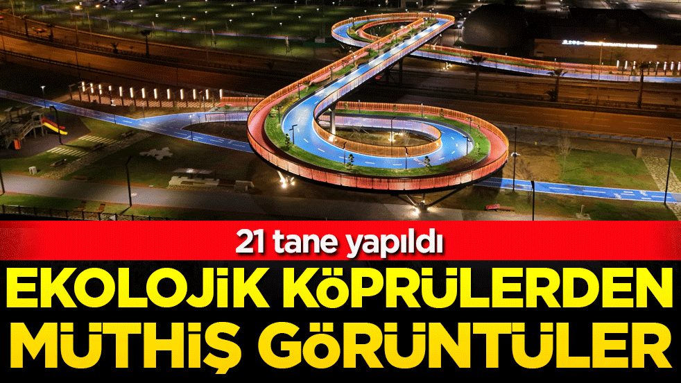Ekolojik köprülerden müthiş görüntüler! 21 tane yapıldı!