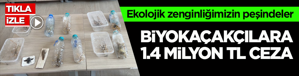Ekolojik zenginliğimizin peşindeler! Biyokaçakçılara 1.4 milyon TL ceza