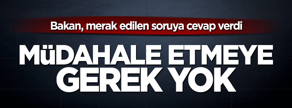 Ekonomi Bakanı Nihat Zeybekçi'den dolar kuru açıklaması