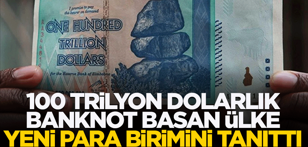Ekonomisini kurtarmak için 100 trilyon dolarlık banknot basan ülke yeni para birimini tanıttı