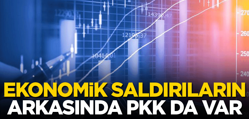 Ekonomiye saldırının arkasında PKK da var