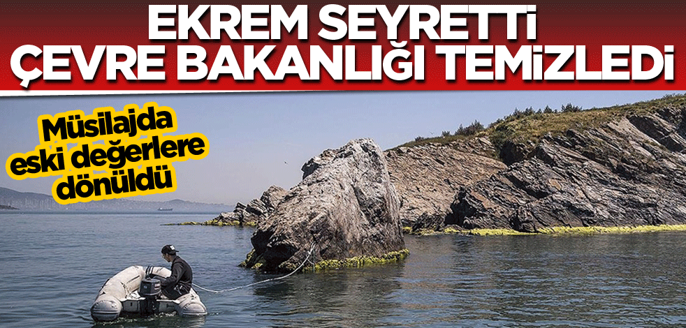 Ekrem seyretti, Çevre bakanlığı temizledi.. Müsilajda eski değerlere dönüldü