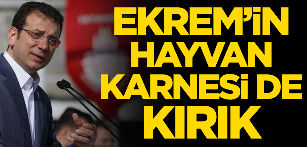 Ekrem’in hayvan karnesi de kırık