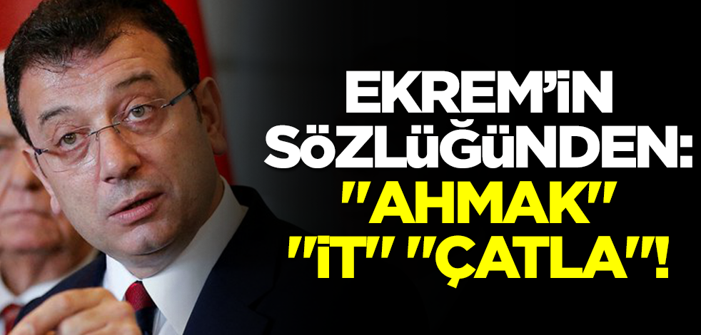 Ekrem’in sözlüğünden: "Ahmak", "it", "çatla"!