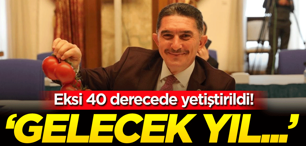 Eksi 40 derecede yetiştirildi! 'Gelecek yıl...'