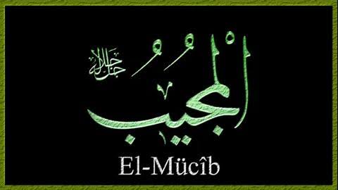 El Mücib ne demek? El Mücib anlamı nedir?