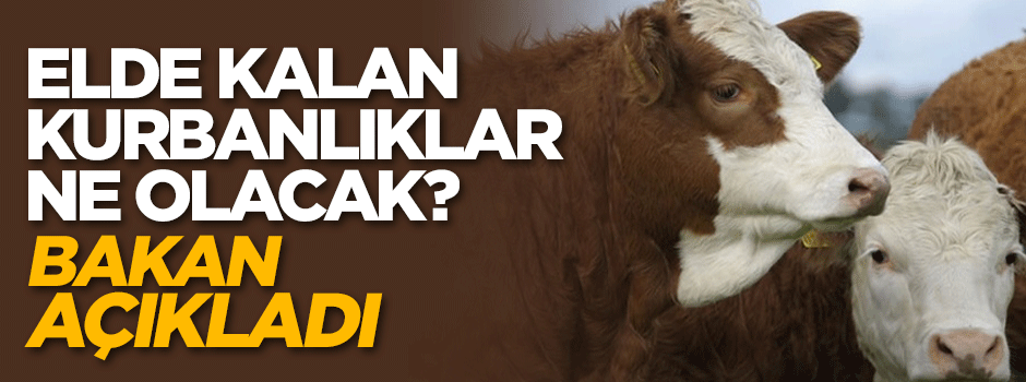 Elde kalan kurbanlıklar ne olacak? Bakan açıkladı