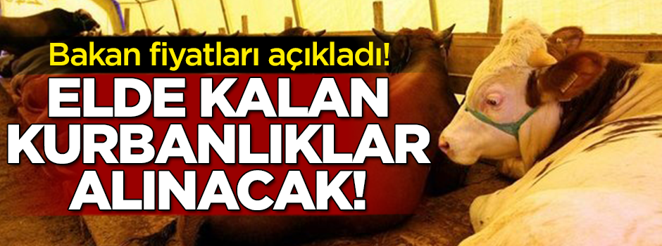 Elde kalan kurbanlıklarla ilgili Bakanlık'tan açıklama
