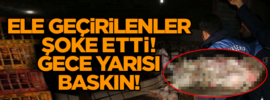 Ele geçirilenler şoke etti! Gece yarısı baskını!