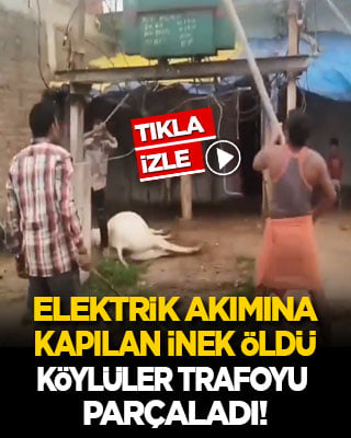 Elektrik akımına kapılan inek öldü; köylüler trafoyu parçaladı