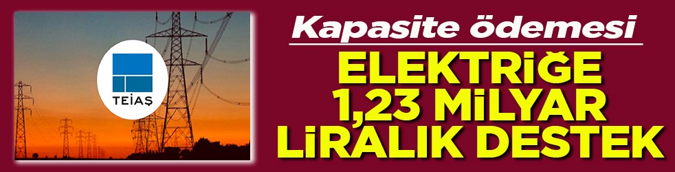 Elektrik santrallerine 1,23 milyar liralık kapasite mekanizması desteği