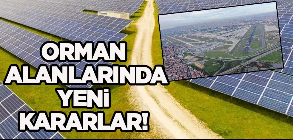 Elektronik imza ile imzalanabilecek! Orman Kanunu değişti: Otel, AVM, akaryakıt istasyonu yapılabilecek