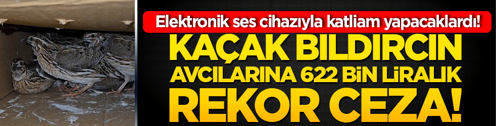 Elektronik ses cihazıyla katliam yapacaklardı! Kaçak bıldırcın avcılarına 622 bin liralık rekor ceza!
