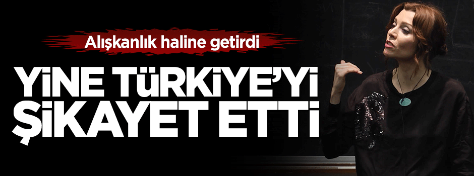 Elif Şafak yine Türkiye'yi şikayet etti