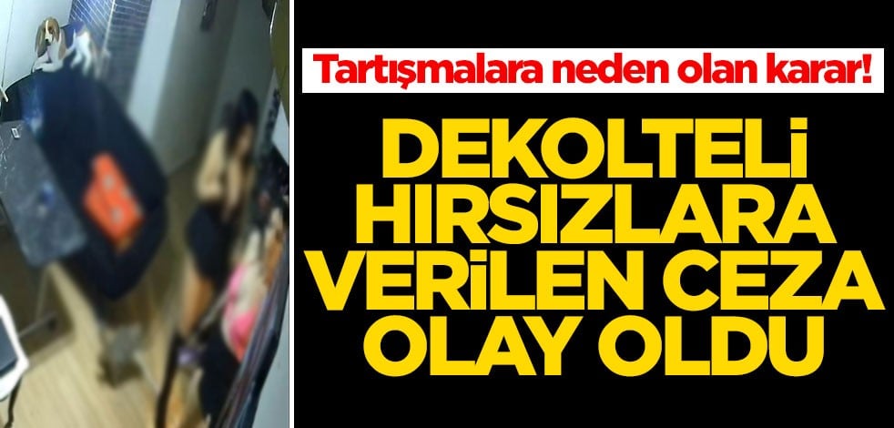 Elini kolunu sallayarak eve girip hırsızlık yapmanın cezası şaşkına çevirdi! Tartışmalara neden olan karar