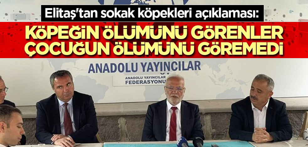 Elitaş'tan sokak köpekleri açıklaması: Köpeğin ölümünü haber yaptılar! Çocuğun ölümünü haber yapmadılar