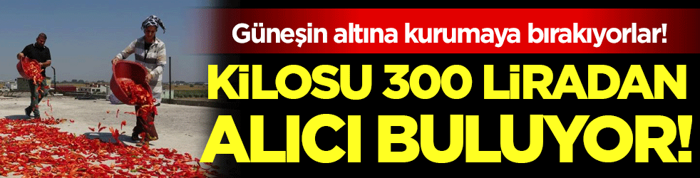 Elleriyle güneşin altına diziyorlar: Kilosu 300 liradan satılıyor!