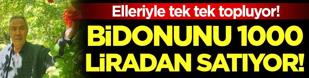 Elleriyle tek tek topluyor: Bidonunu 1000 liradan satıyor!