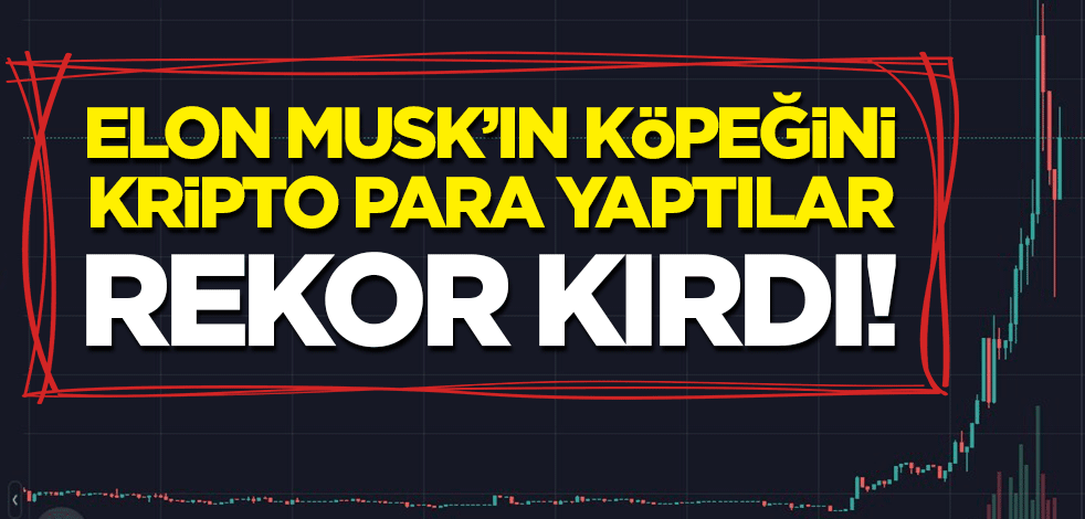 Elon Musk’ın köpeğini kripto para yaptılar! Shiba Inu, rekor kırdı