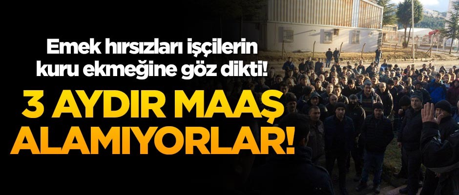 Emek hırsızları işçilerin kuru ekmeğine göz dikti! 3 aydır maaş alamıyorlar