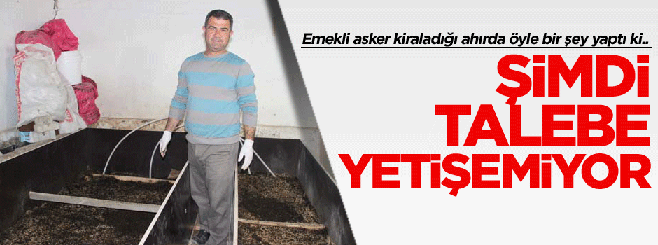 Emekli asker kiraladığı ahırda öyle bir şey yaptı ki.. Talebi karşılayamıyor