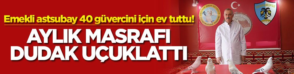 Emekli astsubay 40 güvercini için ev tuttu! Aylık masrafı dudak uçuklattı