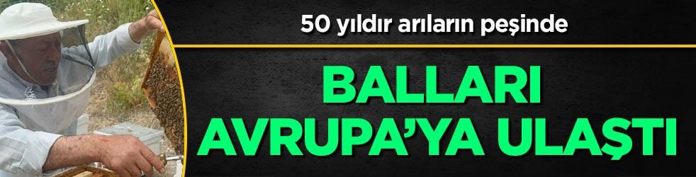  Emekli başgardiyan 50 yıldır arıların peşinde: 25 kovan malzeme... Balları Avrupa’ya ulaştı