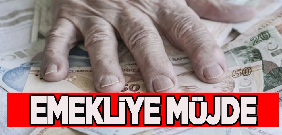 Emekli olanlara müjde! Türkiye'nin yeni planı, harekete geçtiler: Müthiş gelişme, bunu yapacaklar